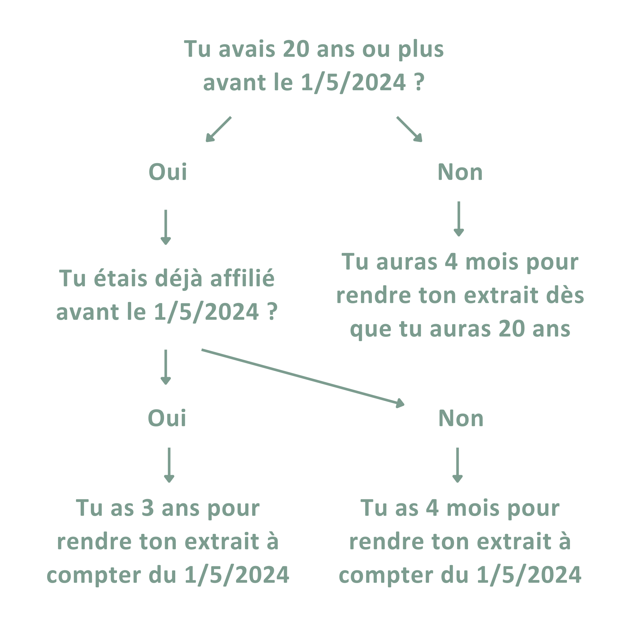 Casier Judiciaire